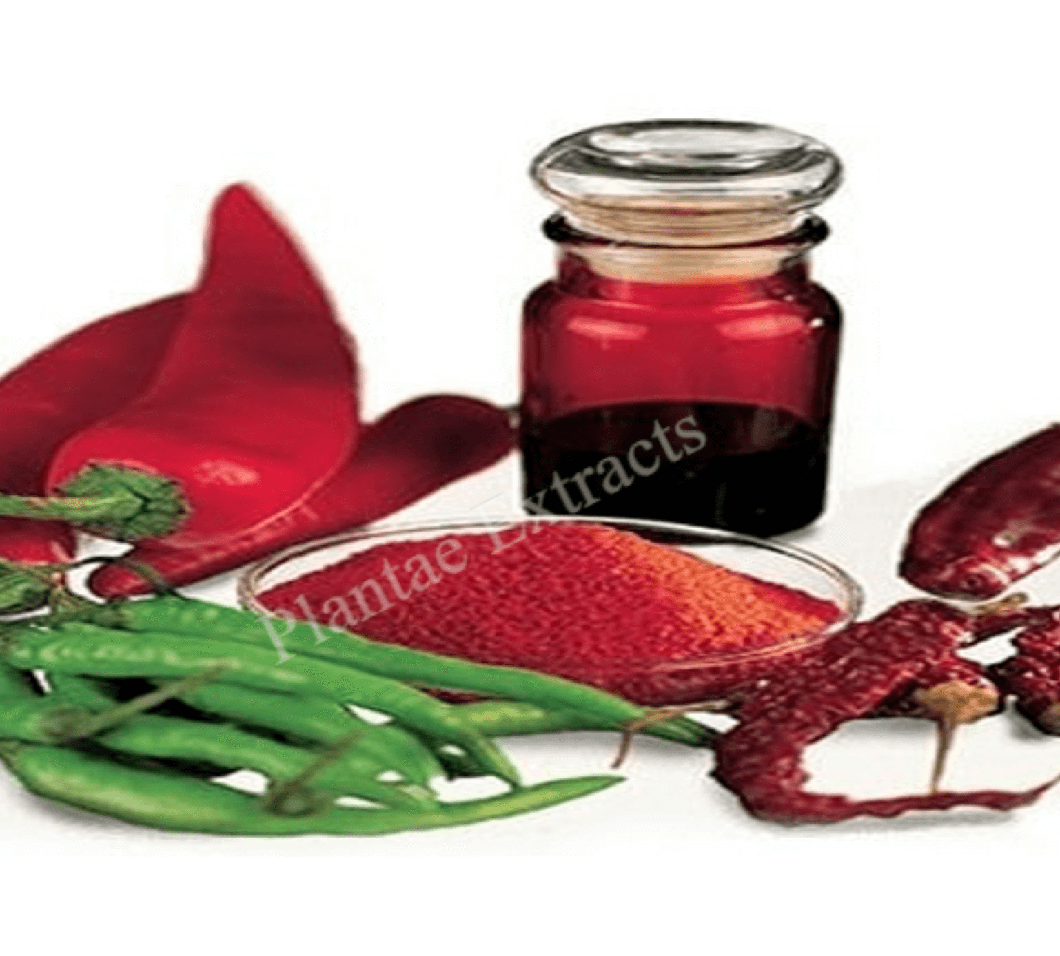 Paprika Oleoresin Plantae Extracts