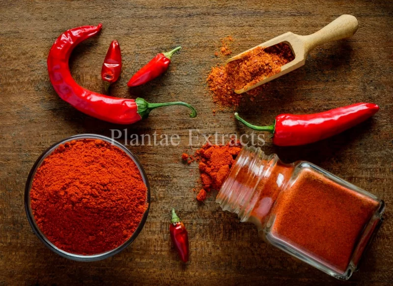 Paprika Powder