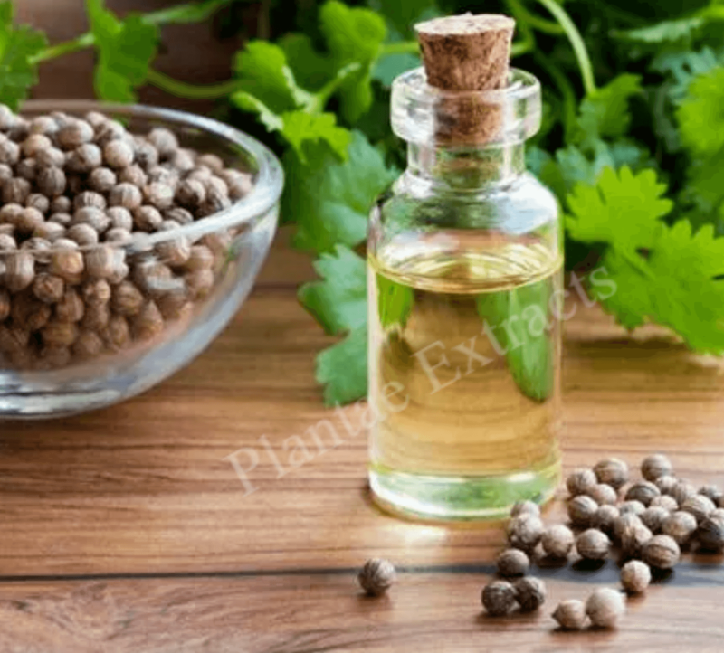 Coriander oleorsin