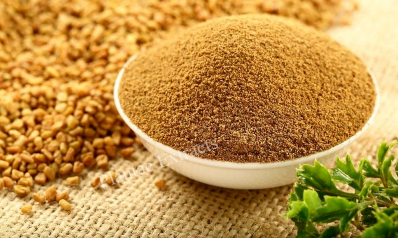 Fenugreek Powder