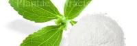 Stevia